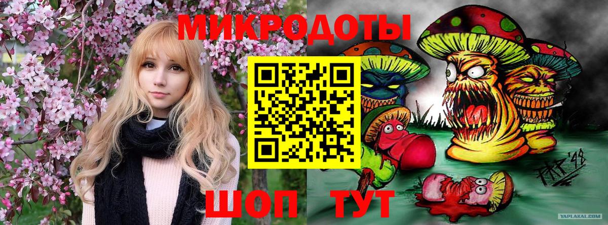 Псилоцибиновые грибы Psilocybine cubensis Кириши