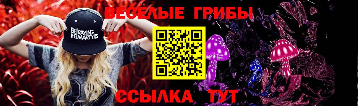 Псилоцибиновые грибы Magic Shrooms  Вход с VPN  Кириши  Галлюциногенные грибы прущие грибы 